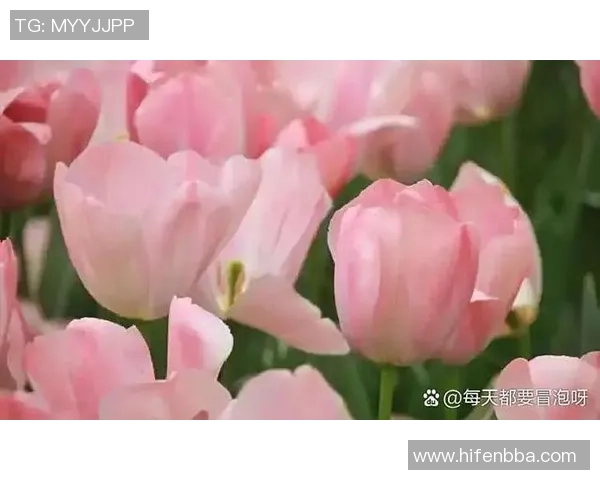 全球最受欢迎的足球星座男排名分析 星座影响力与球场表现深度解读 全球最受欢迎的足球星座男排名分析 星座影响力与球场表现深度解读