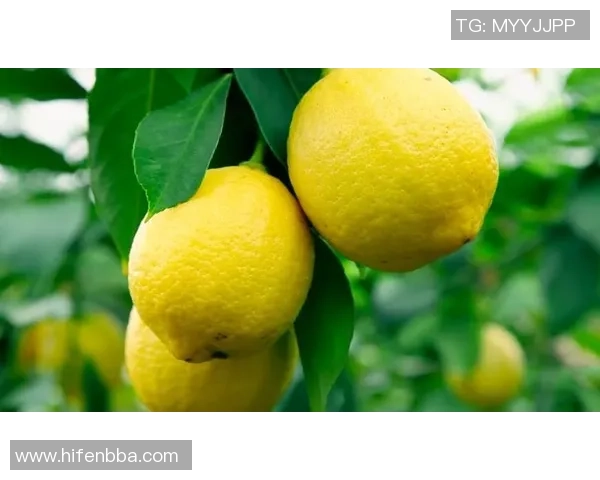 足球巨星力荐帮润喉片 助你舒缓喉咙不适恢复最佳状态 足球巨星力荐帮润喉片 助你舒缓喉咙不适恢复最佳状态