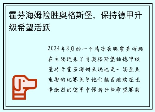 霍芬海姆险胜奥格斯堡，保持德甲升级希望活跃